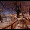 20090109_181